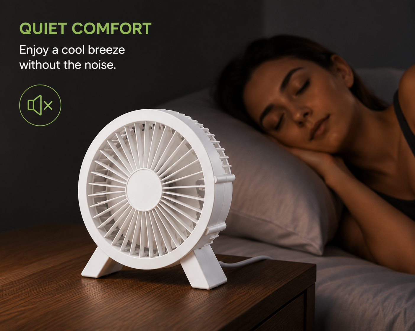 Mini Desktop Fan