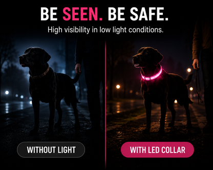 Nylon LED Dog Collar