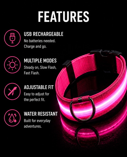 Nylon LED Dog Collar
