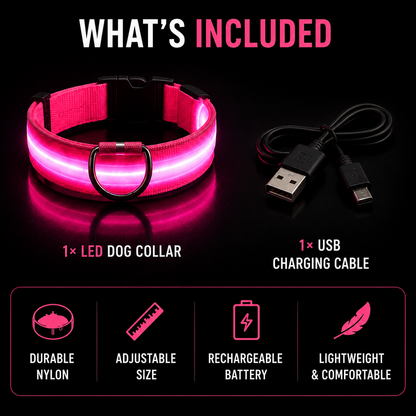Nylon LED Dog Collar