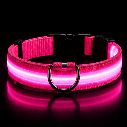 Nylon LED Dog Collar