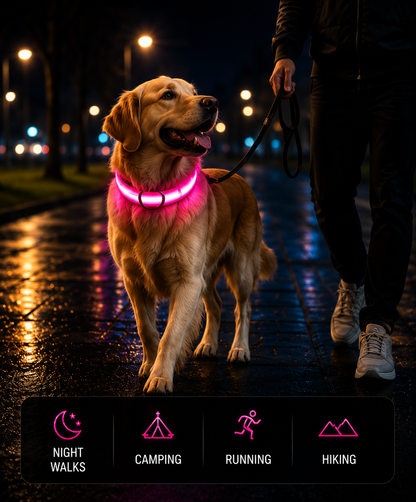 Nylon LED Dog Collar
