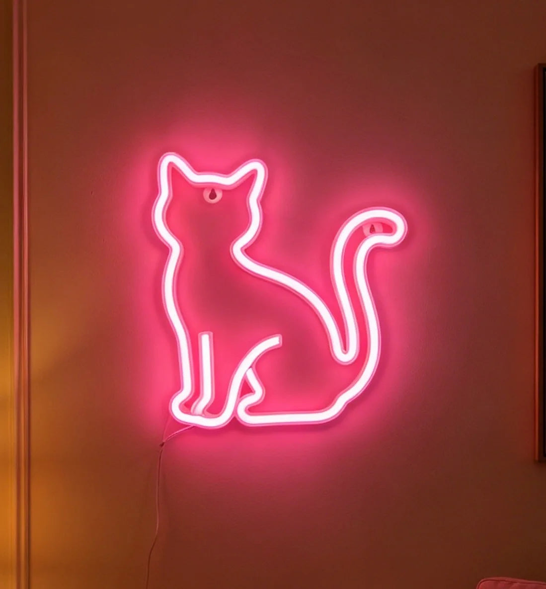 LED Neon Sign Light